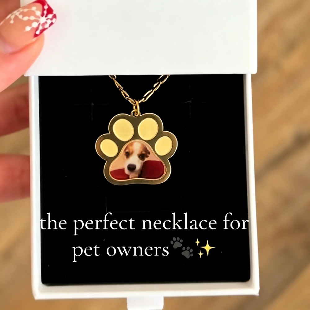 Collar personalizado con color - Cat Claw Bark reseña y precio